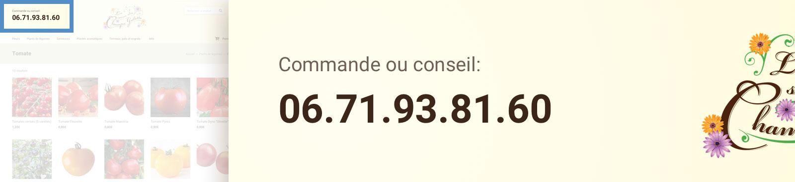 The header of the site with the phone number set large next to the logo